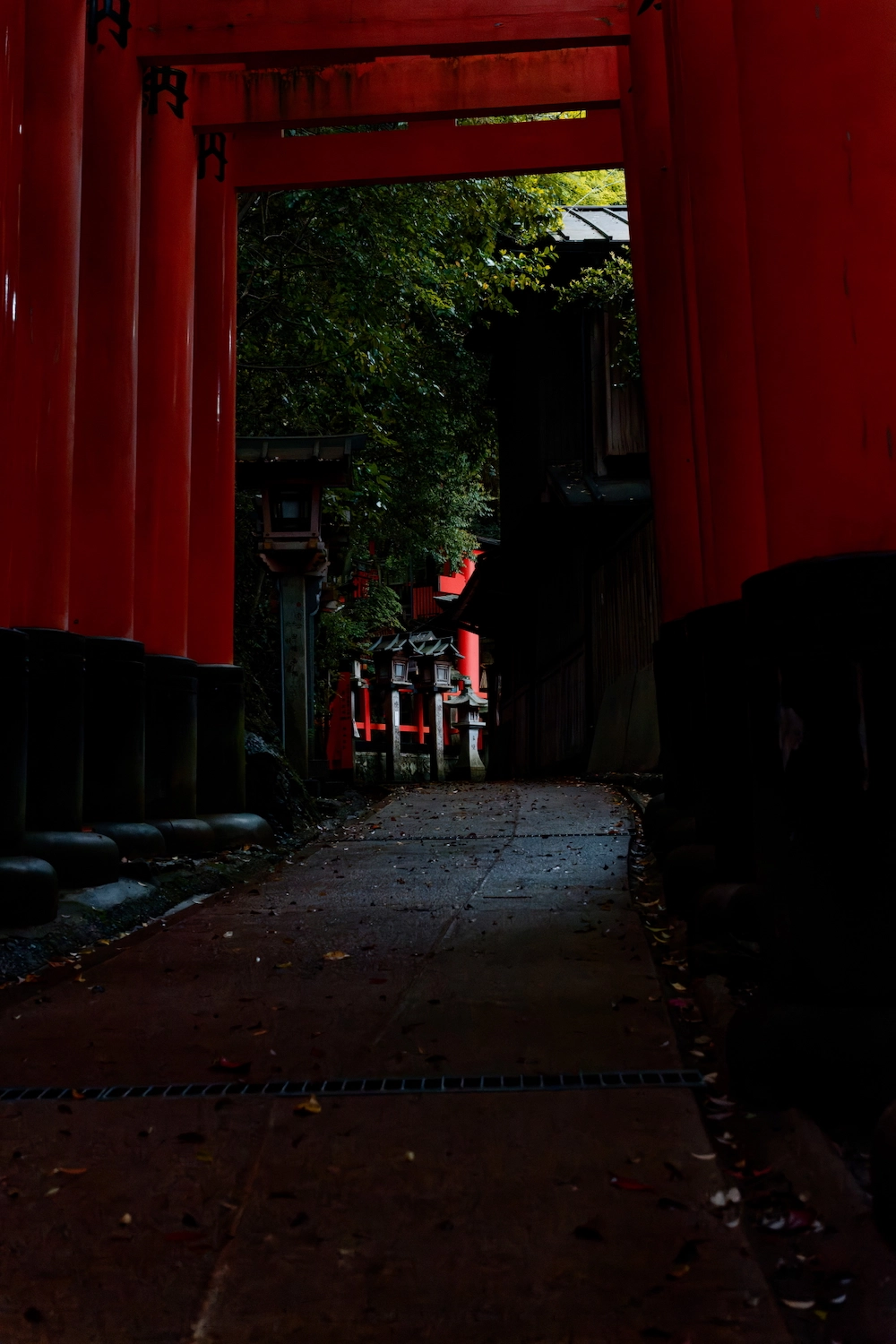 light in the distance