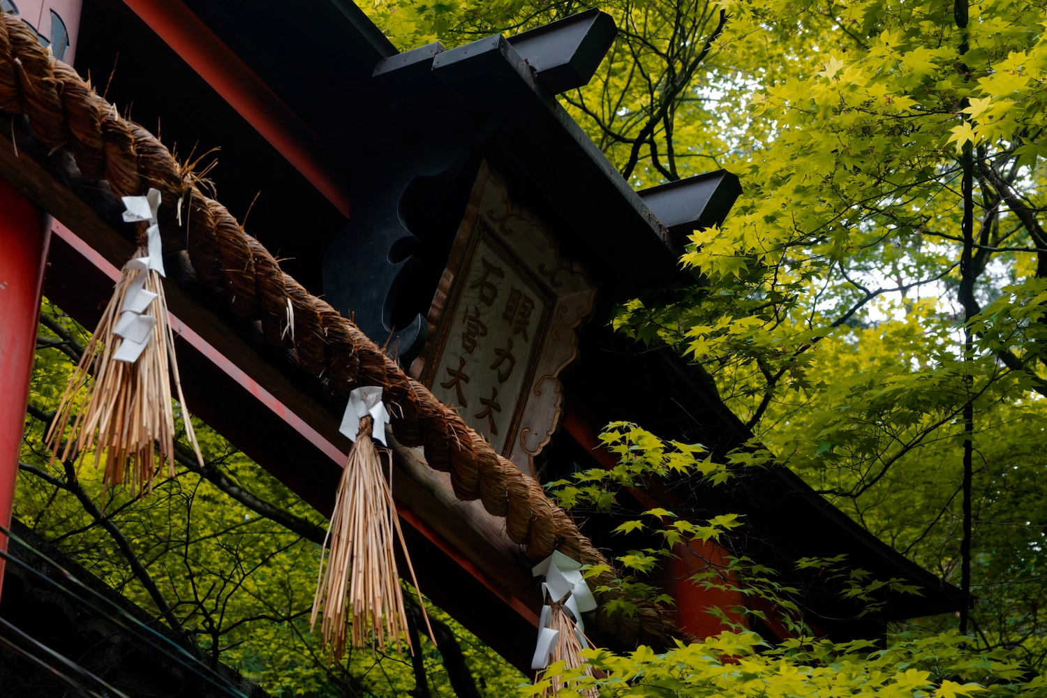 tori gate in the woods