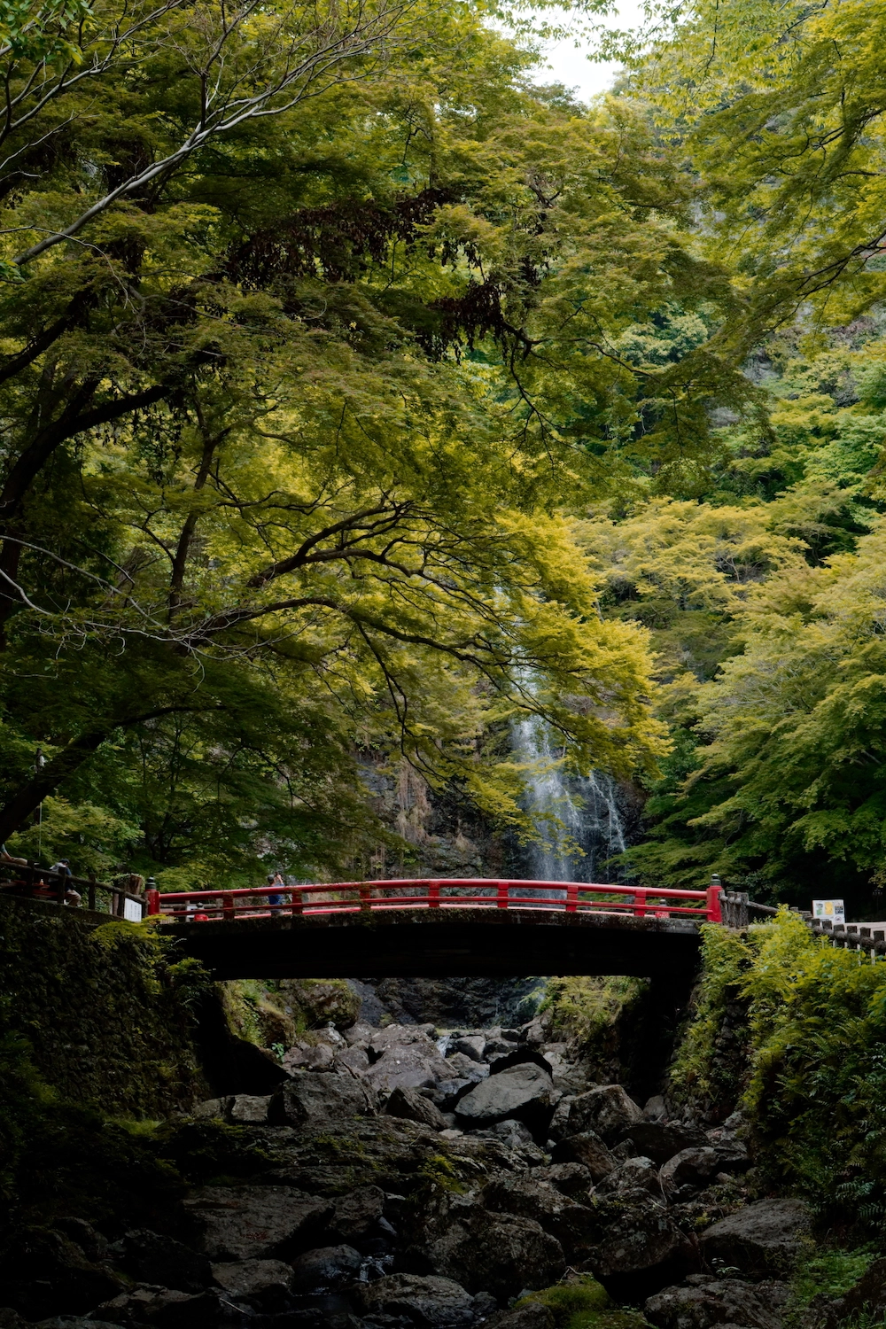 red bridge