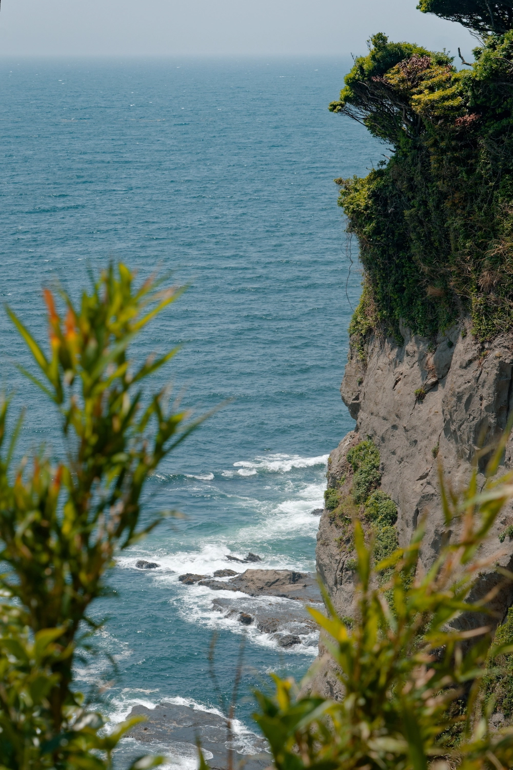 cliffs of enoshima