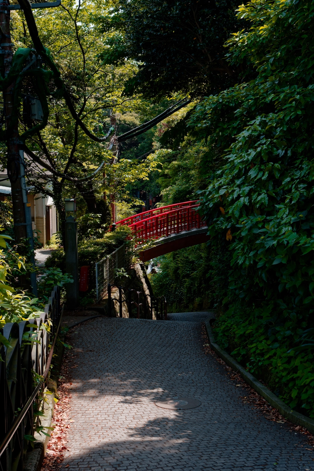 red bridge in the woods