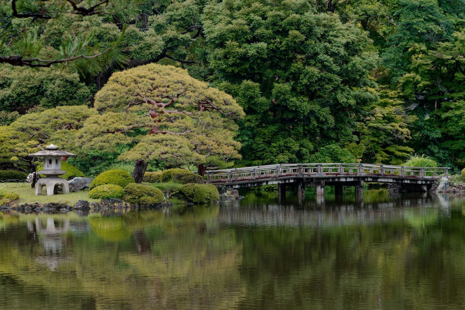 bridge at a lake