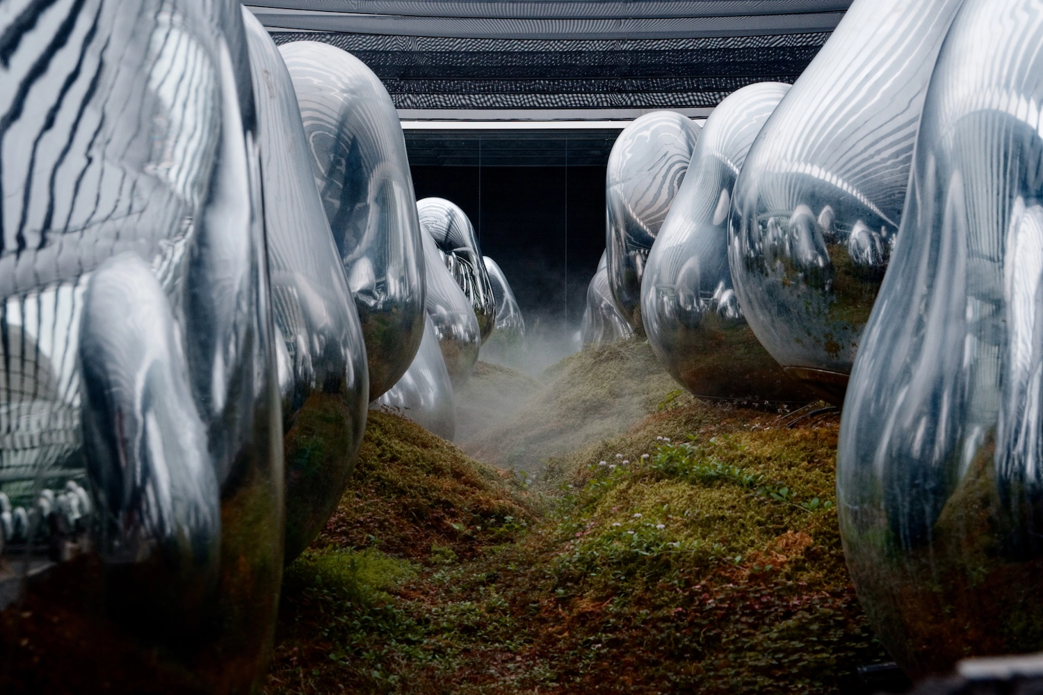 mysterious egg sculptures