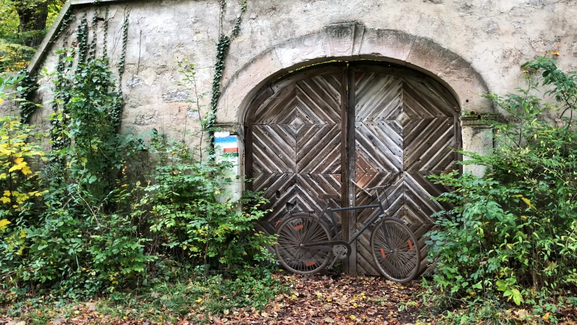 Thumbnail for Bicycle Tracking