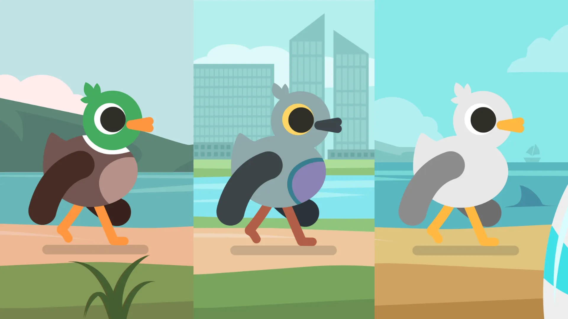 Thumbnail for Bird Walk Cycle